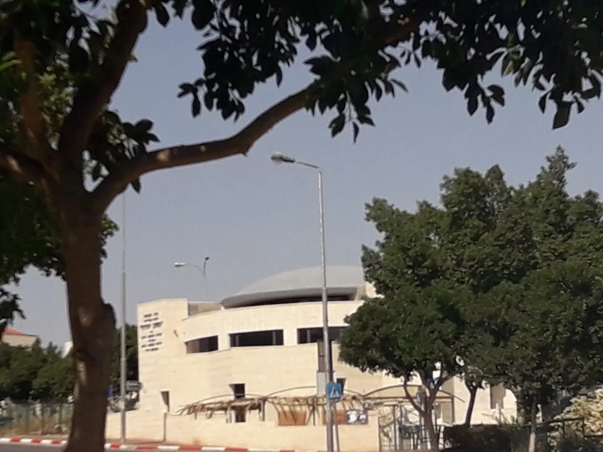 Tze'irei Kurdistan Synagogue — foto 8