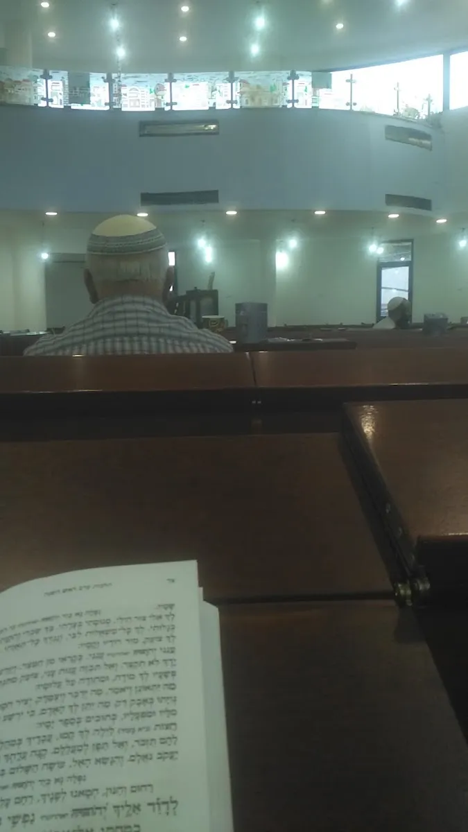 Tze'irei Kurdistan Synagogue — foto 9