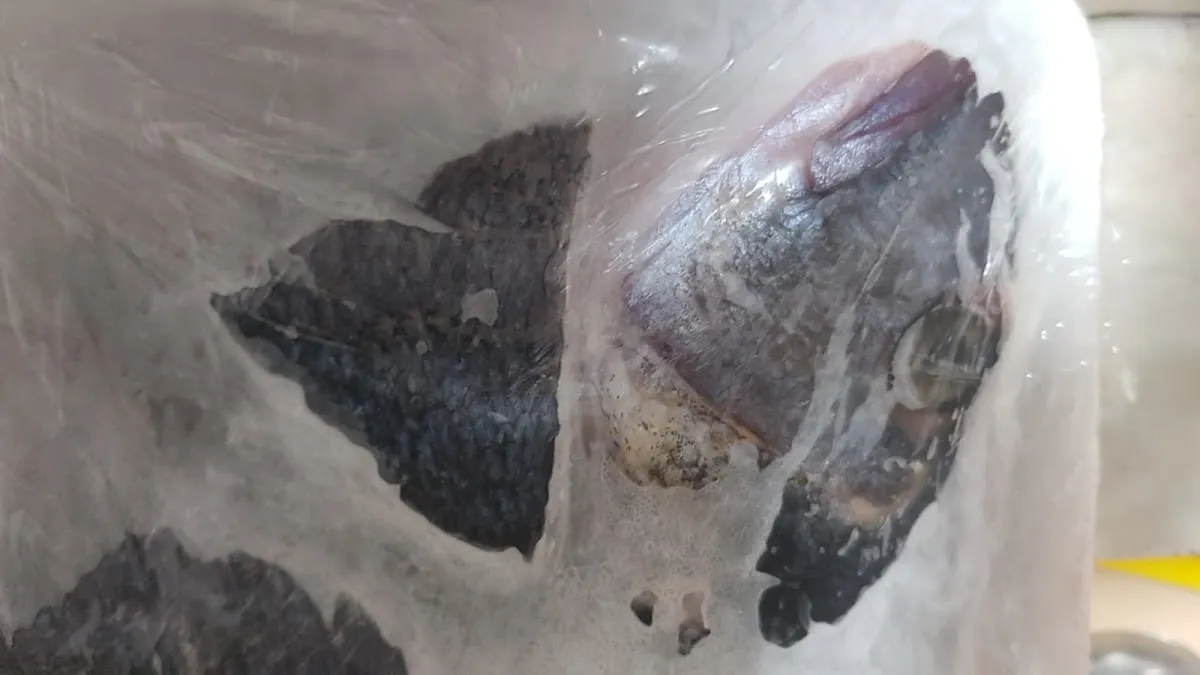 Udi Fish — photo 3