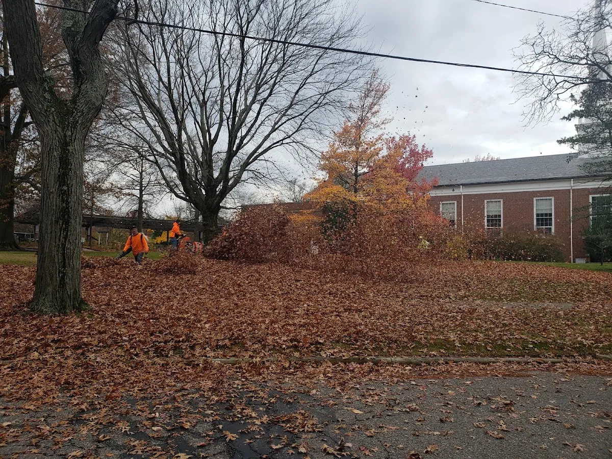 Unitarian Universalist Congregation of Cleveland — foto 6