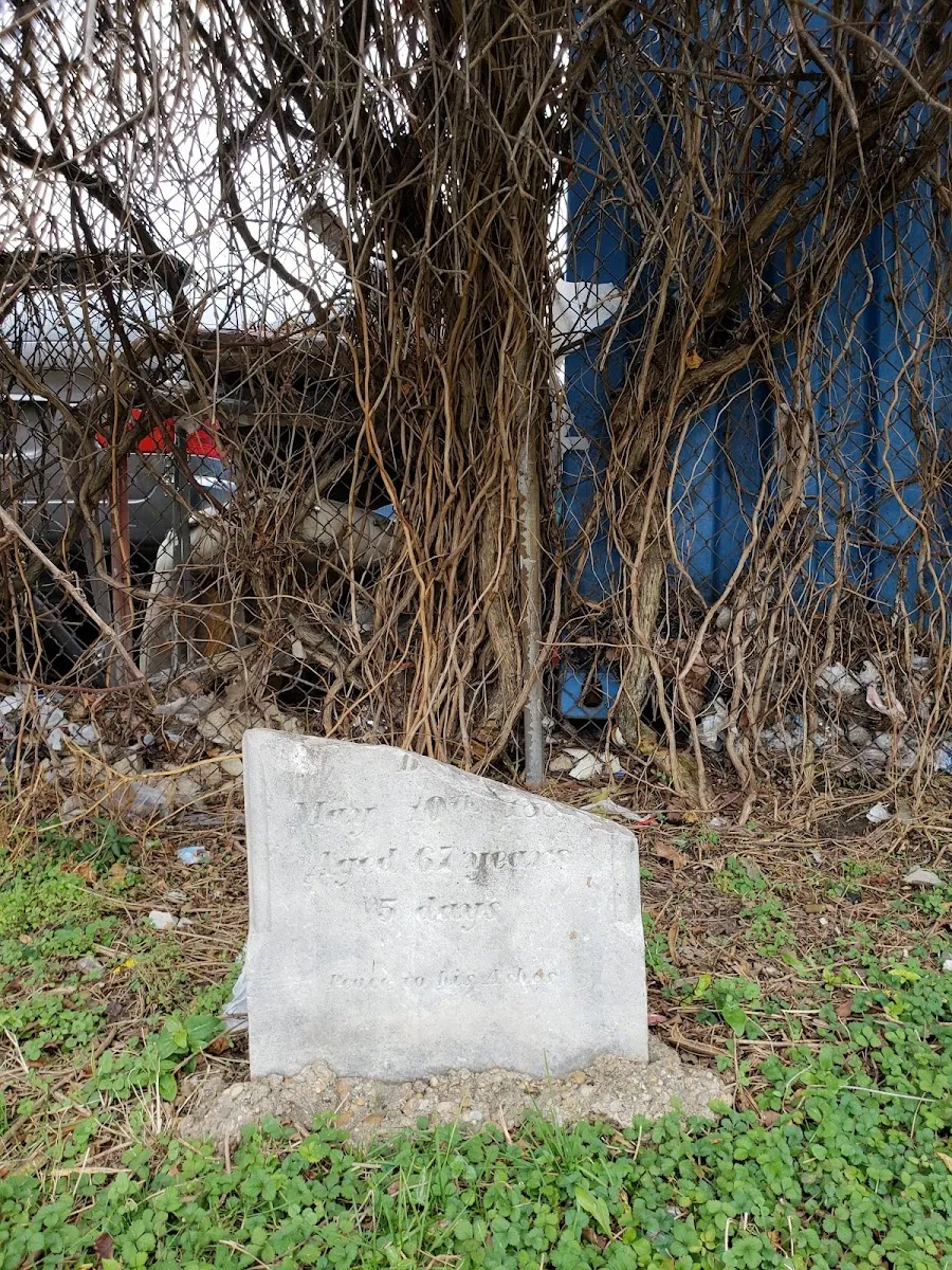United Hebrew Benevolent Society Cemetery — photo 6