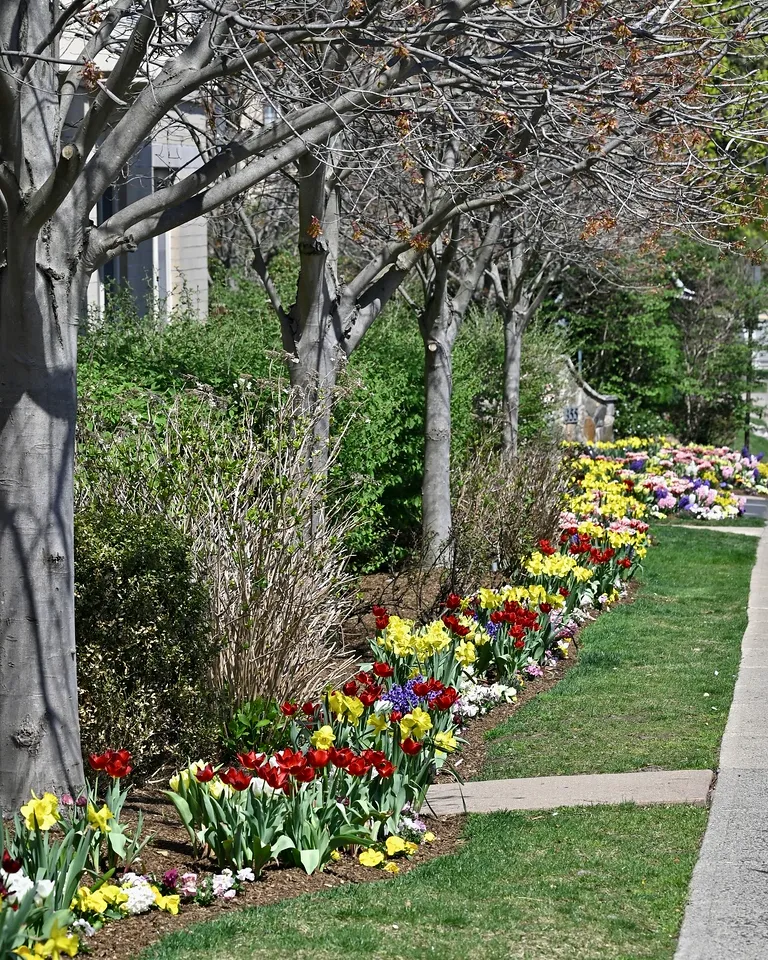 United Hebrew Senior Living: Assisted Living at Willow Towers — foto 2
