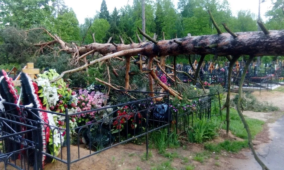 Vaganovo Jewish Cemetery — foto 5