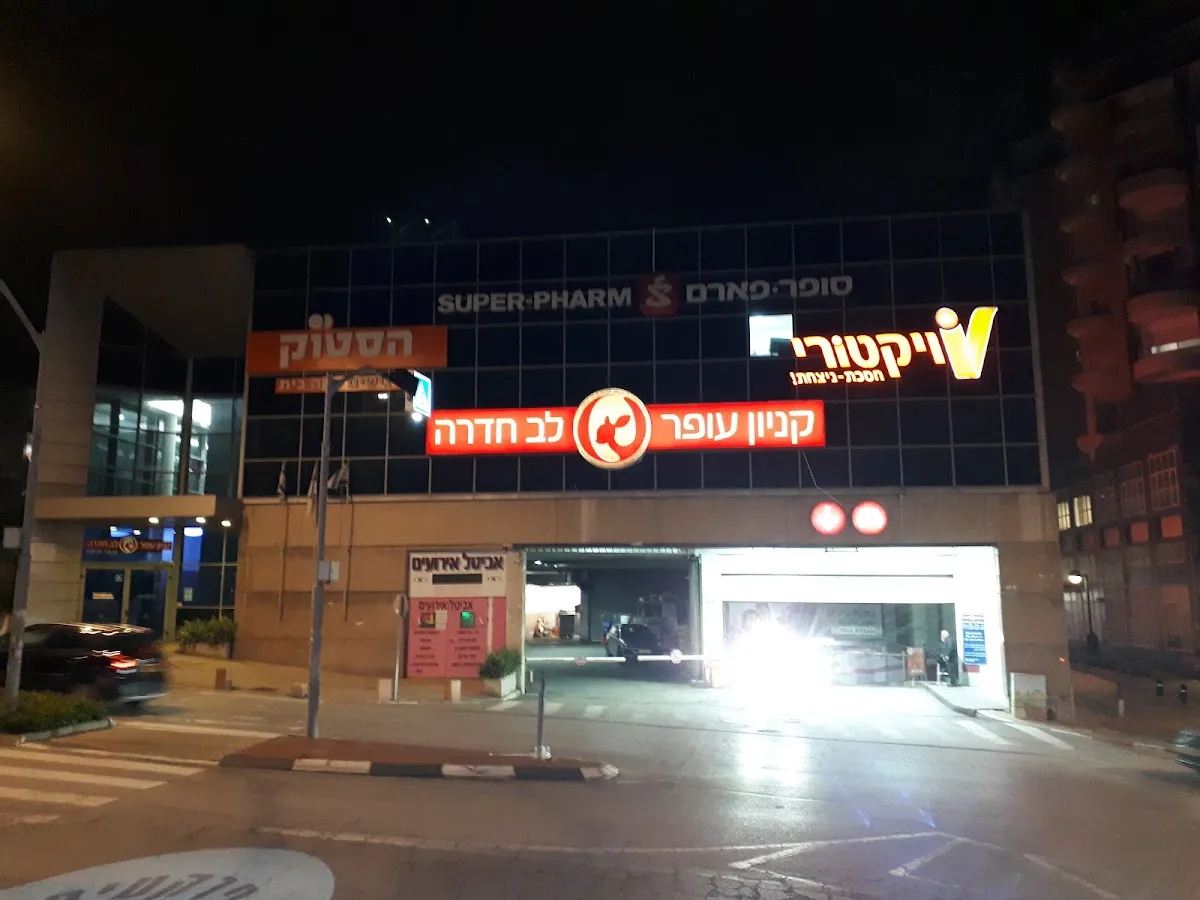 Victory (Ofer Lev Hadera) — photo 4