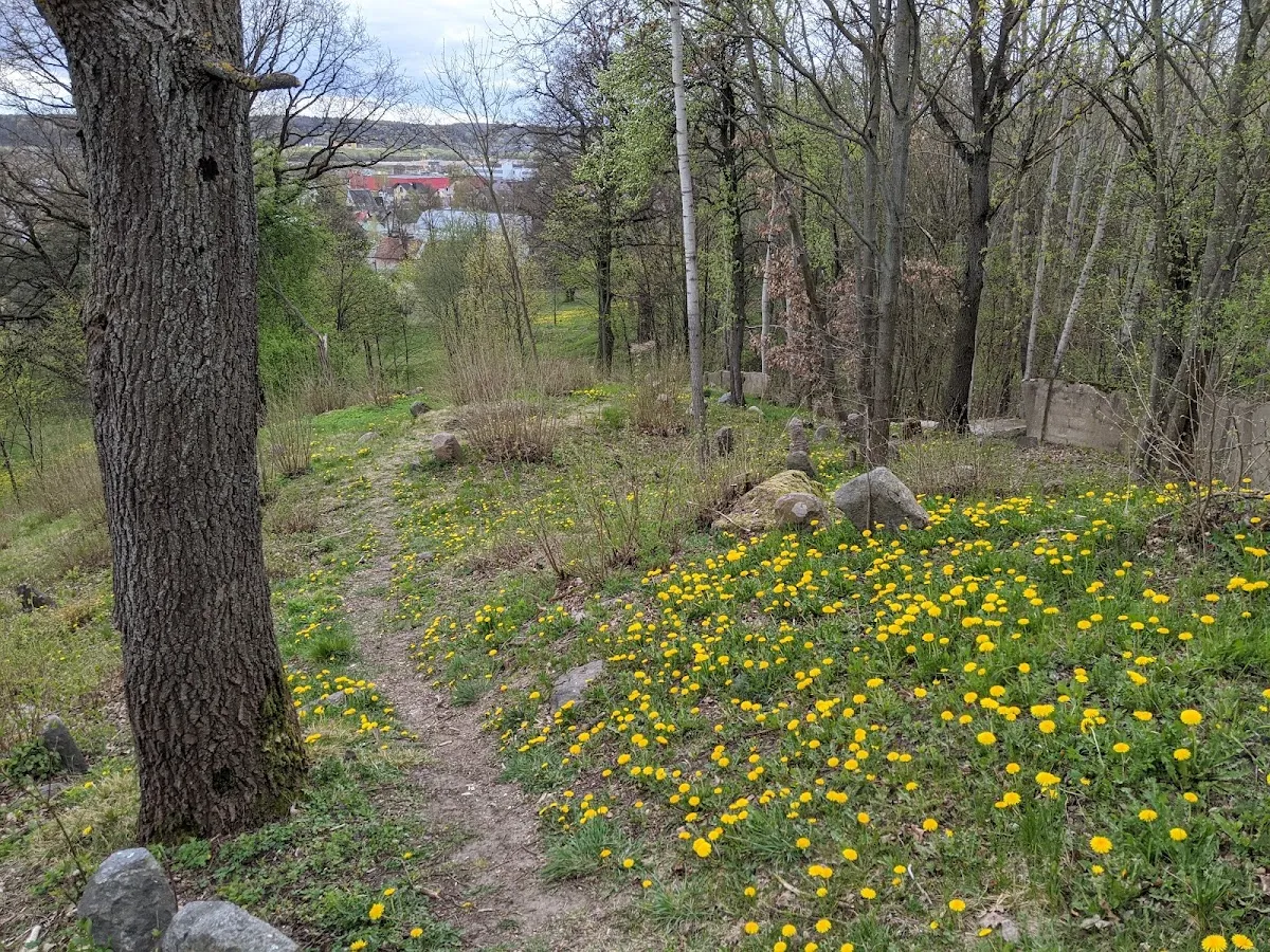 Vilijampolės (Slabados) žydų kapinės — foto 9