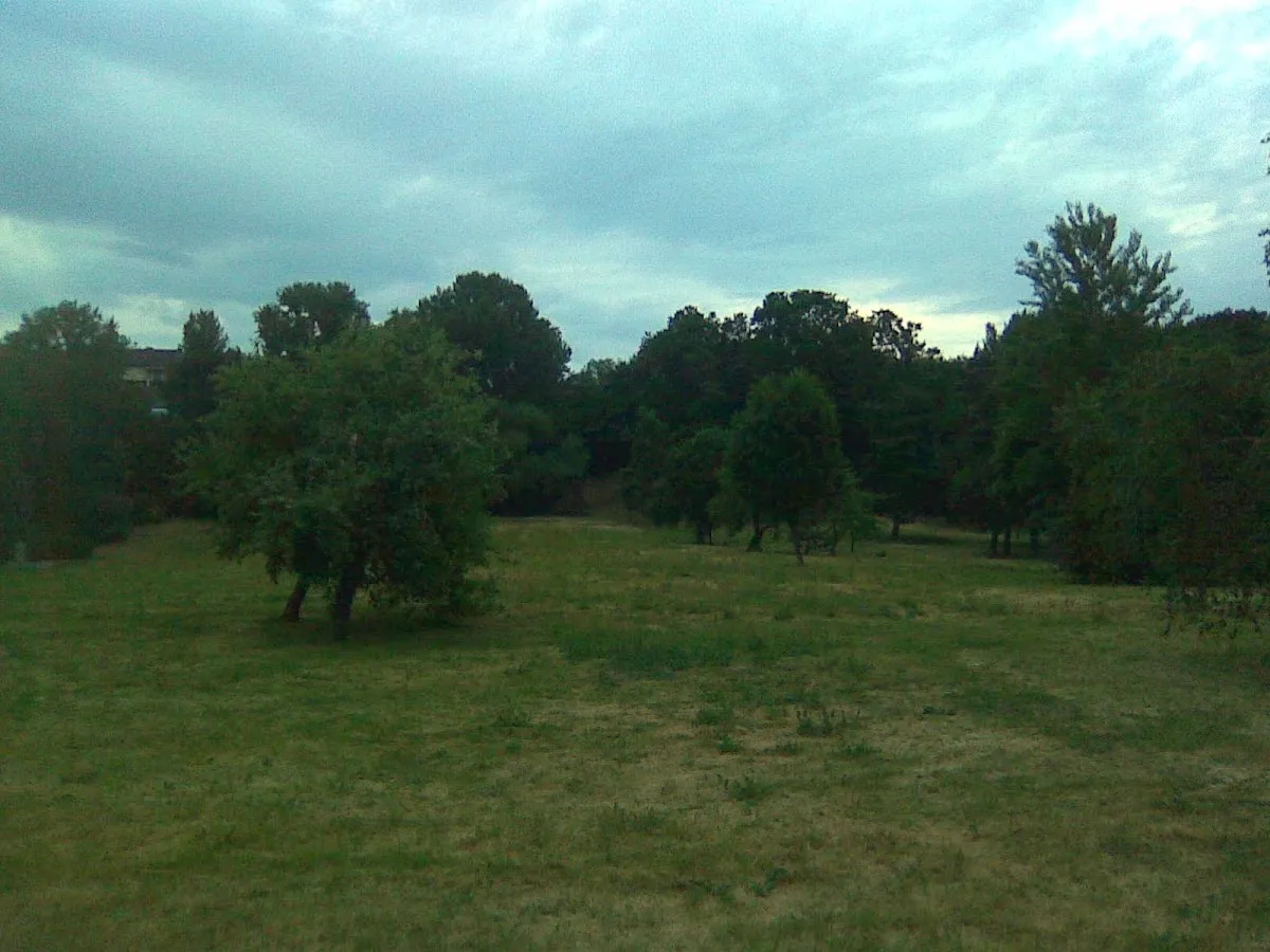 Vilijampolės (Slabados) žydų kapinės — foto 10
