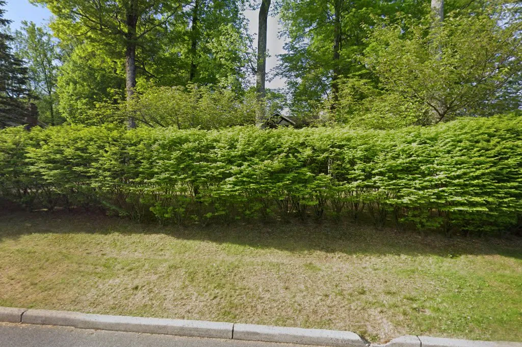 Village Green Shul