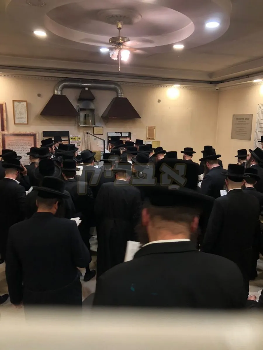 Vizhnitz Beit Midrash Beit Shemesh — foto 6