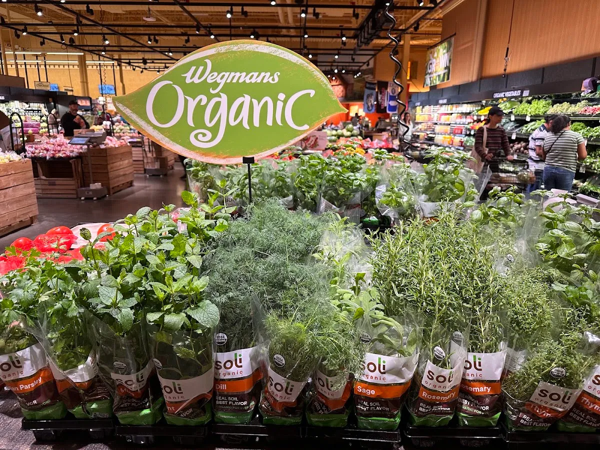 Wegmans (Chapel Hill) — foto 6