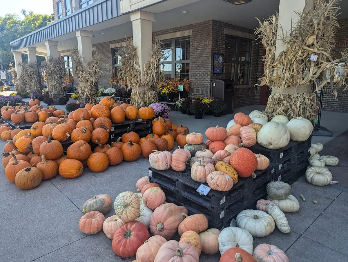 Wegmans — photo 8