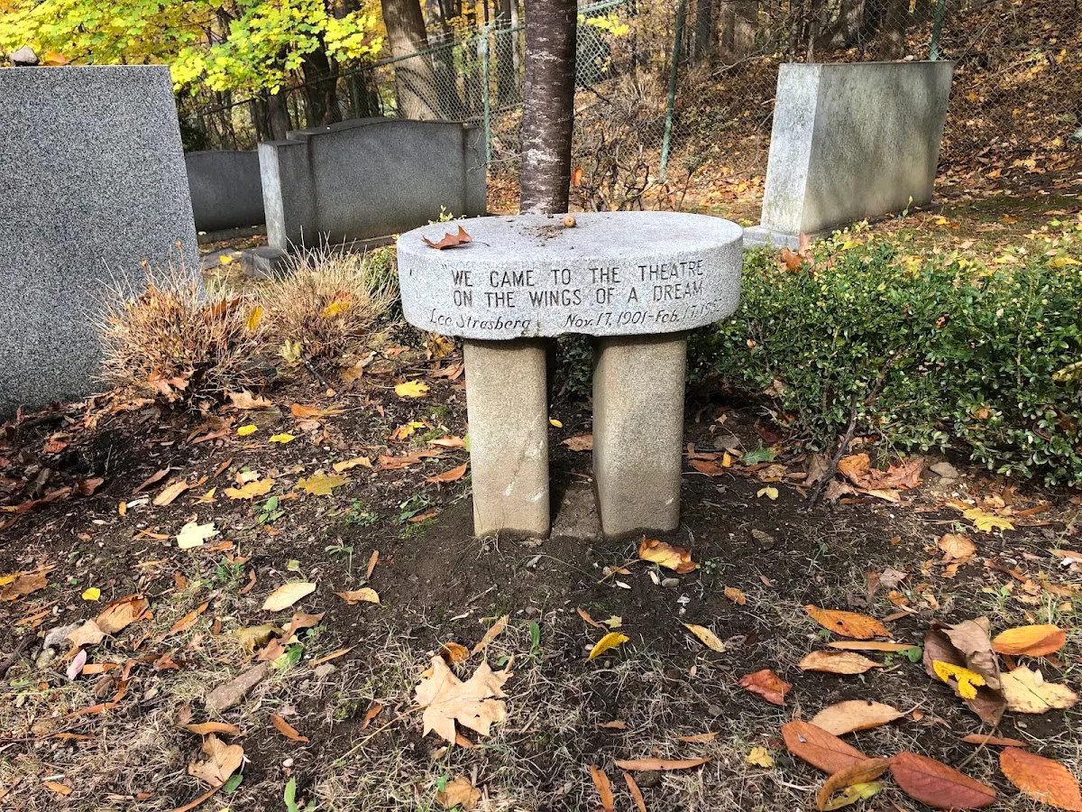 Westchester Hills Cemetery-Stephen Wise Free Synagogue Cemetery — foto 6