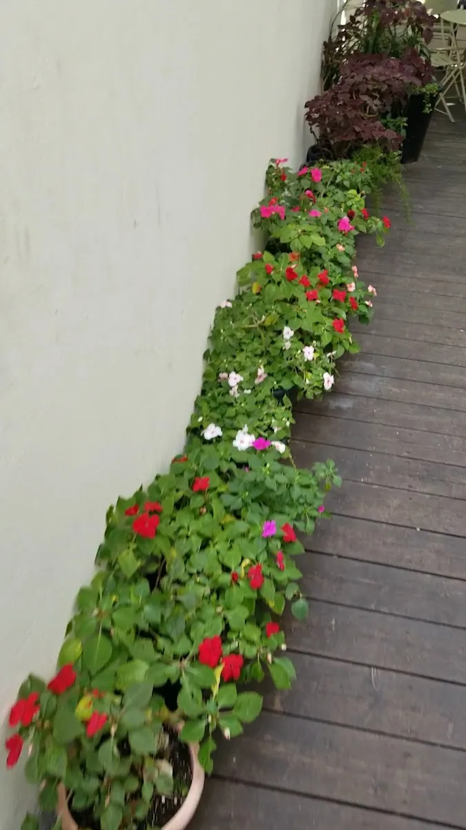 Wine Garden TLV — photo 2