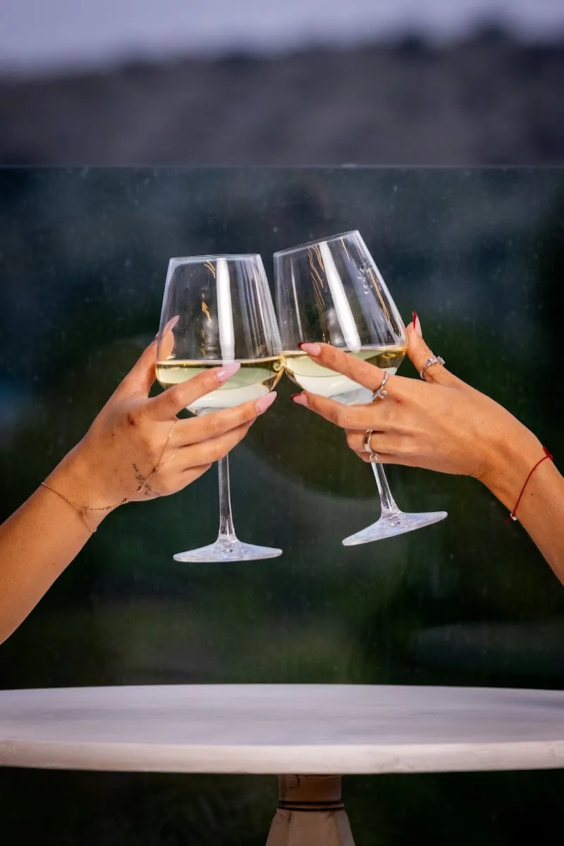Wine&Vibe — foto 5