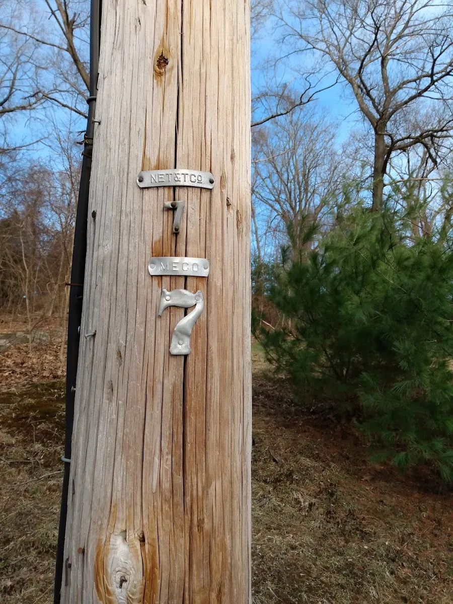 Worcester Hebrew Cemetery — photo 3