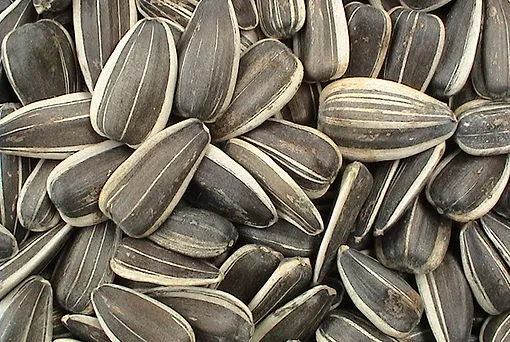 Wricley Nut Products Co — foto 6