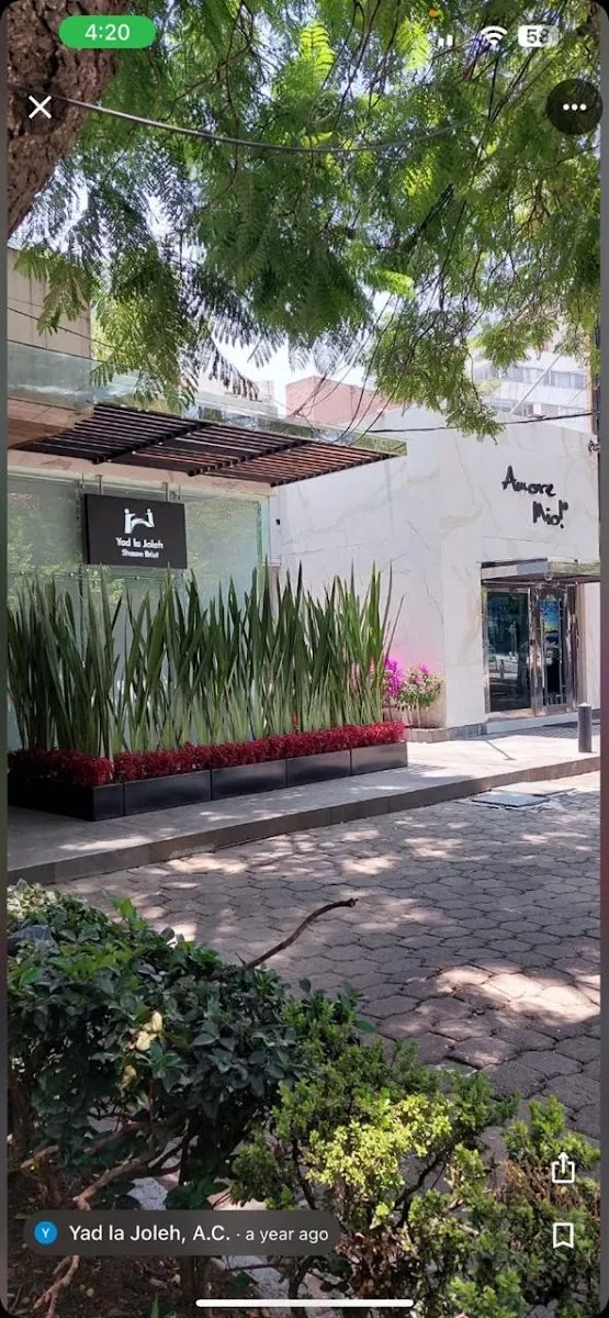 Yad LaJolé