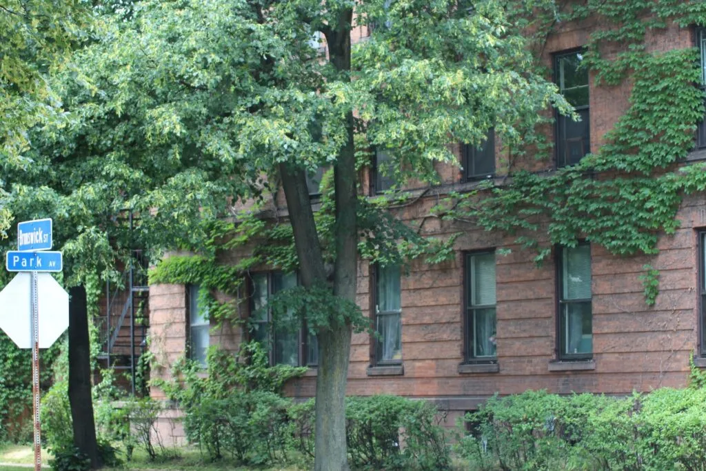 Yeshiva of Rochester, Talmudical Institute of Upstate New York TIUNY