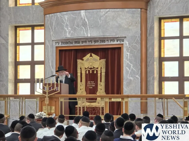 Yeshiva Rabbeinu Chaim Berlin — photo 9