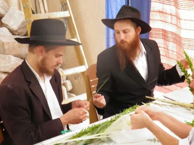 Yeshiva Temimei Darech — photo 8