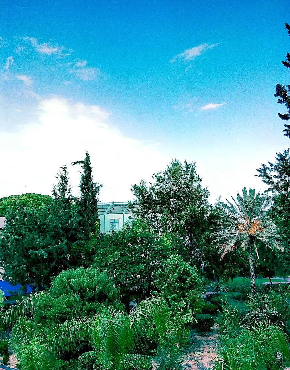 Yeshivat HaDarom — foto 7