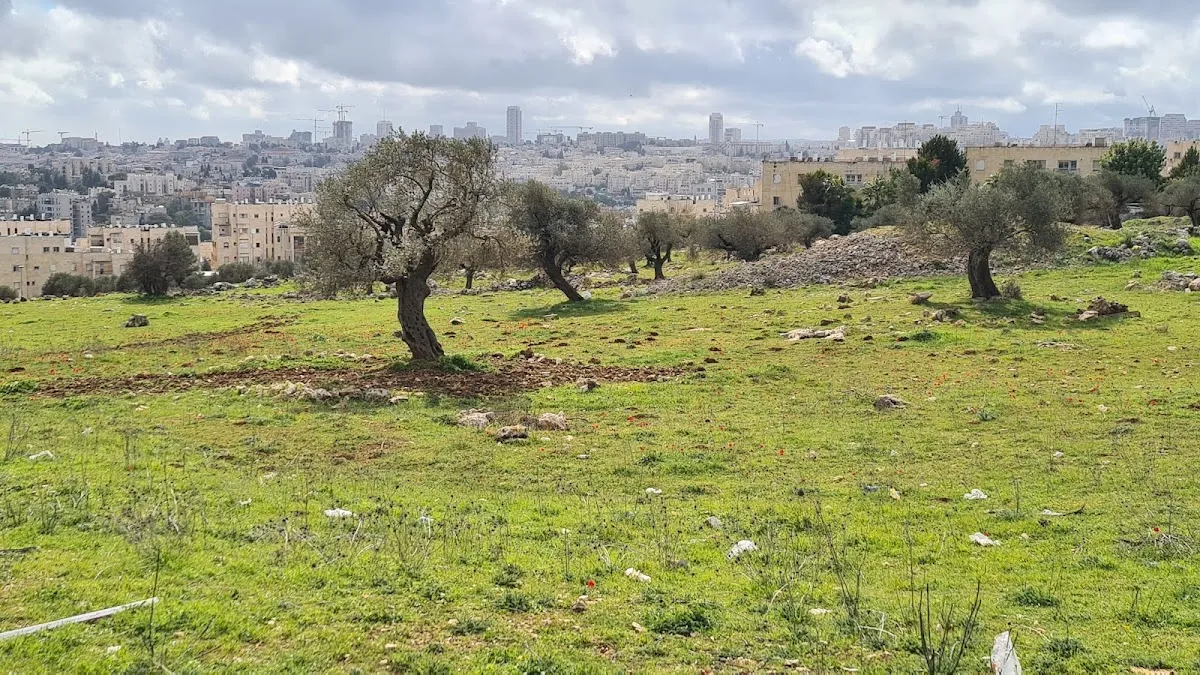 Yeshivat Lev Eliyahu — photo 4