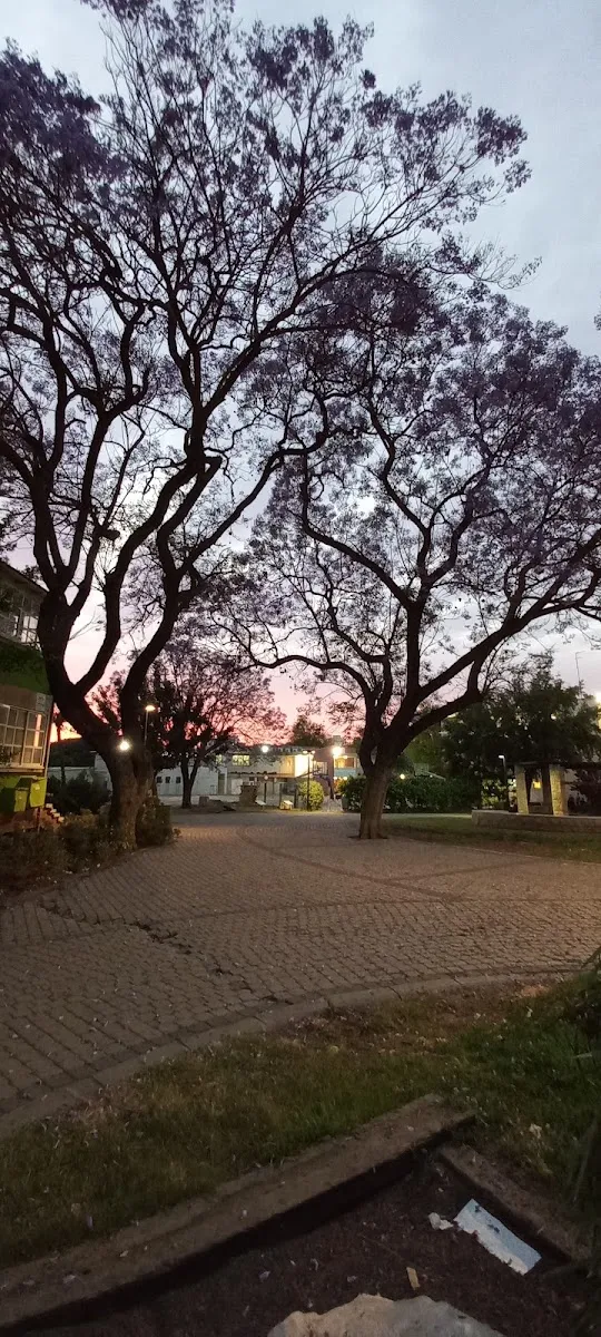 Yeshivat "Nachal Yitzchak", Nechalim — foto 4