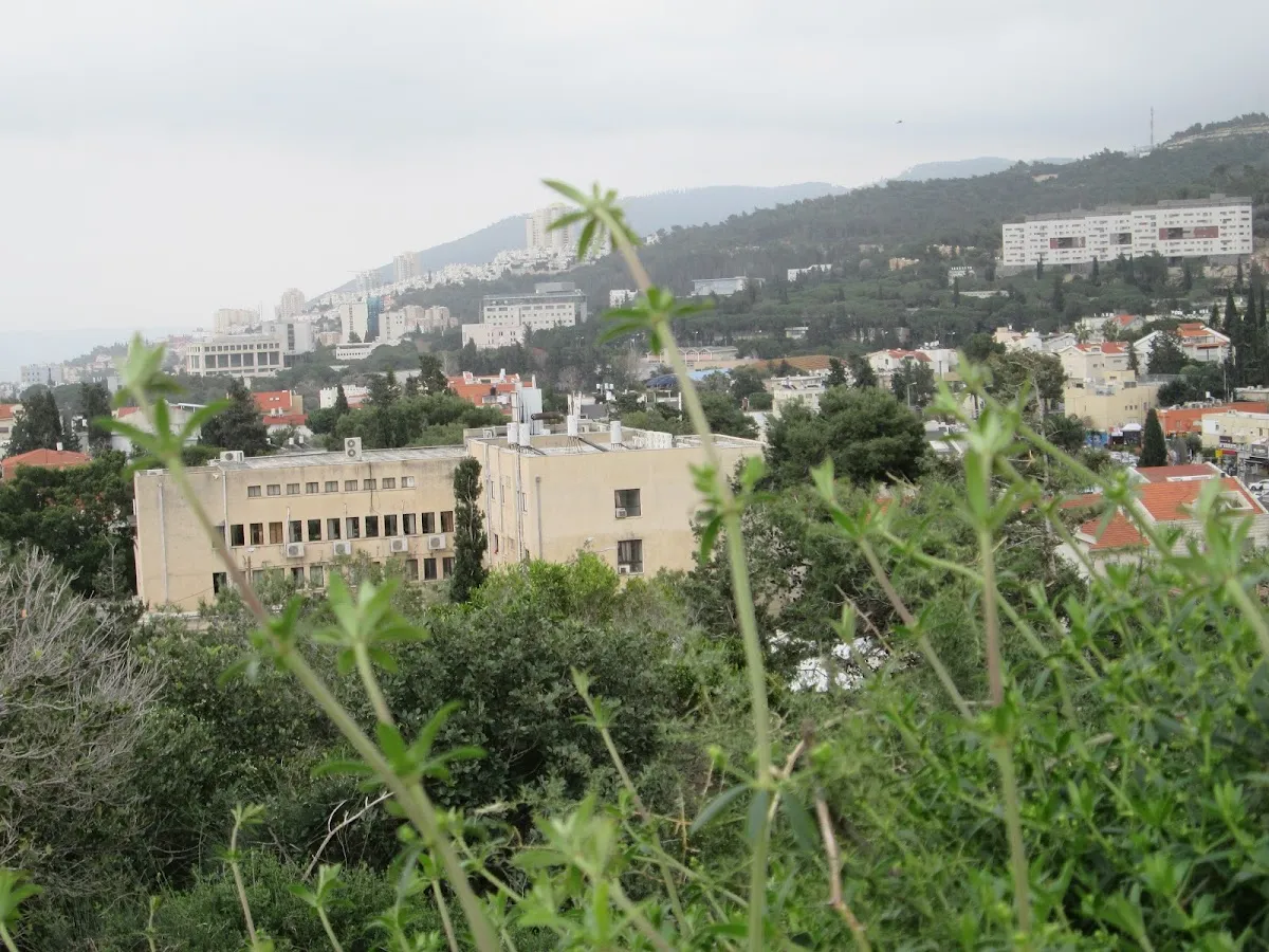 yeshivat Nachalat Halvi'im Haifa — foto 3