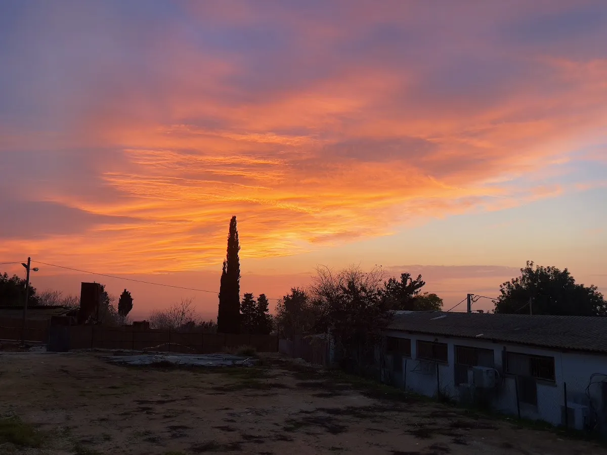 Yeshivat Ohr Yerushalayim — foto 4