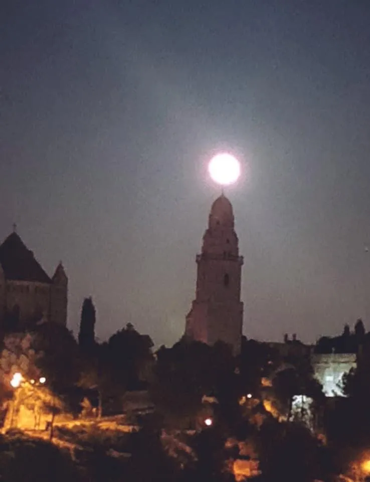 Yismach Yisrael Synagogue — foto 4