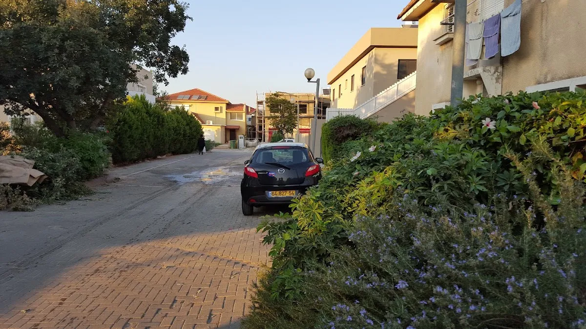 Yisrael Arye Leib Shul (Kfar Chabad) — foto 2