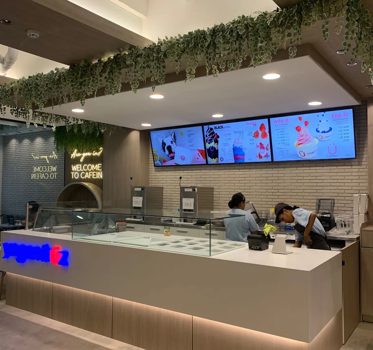 Yogen Früz | Bal Harbour Paitilla