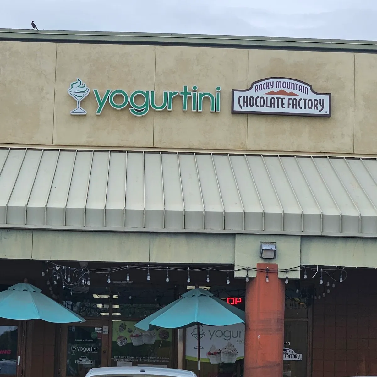 Yogurtini - Rocky Mountain Chocolate Factory — photo 9
