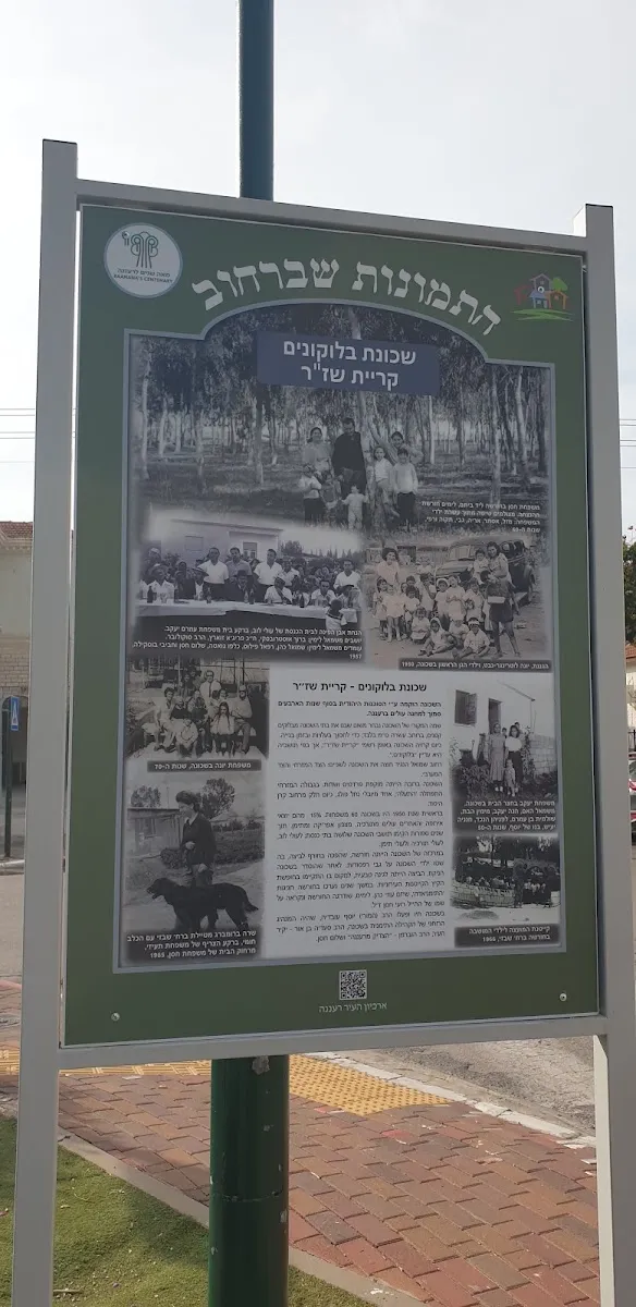 Yosef Shalom Synagogue — foto 8