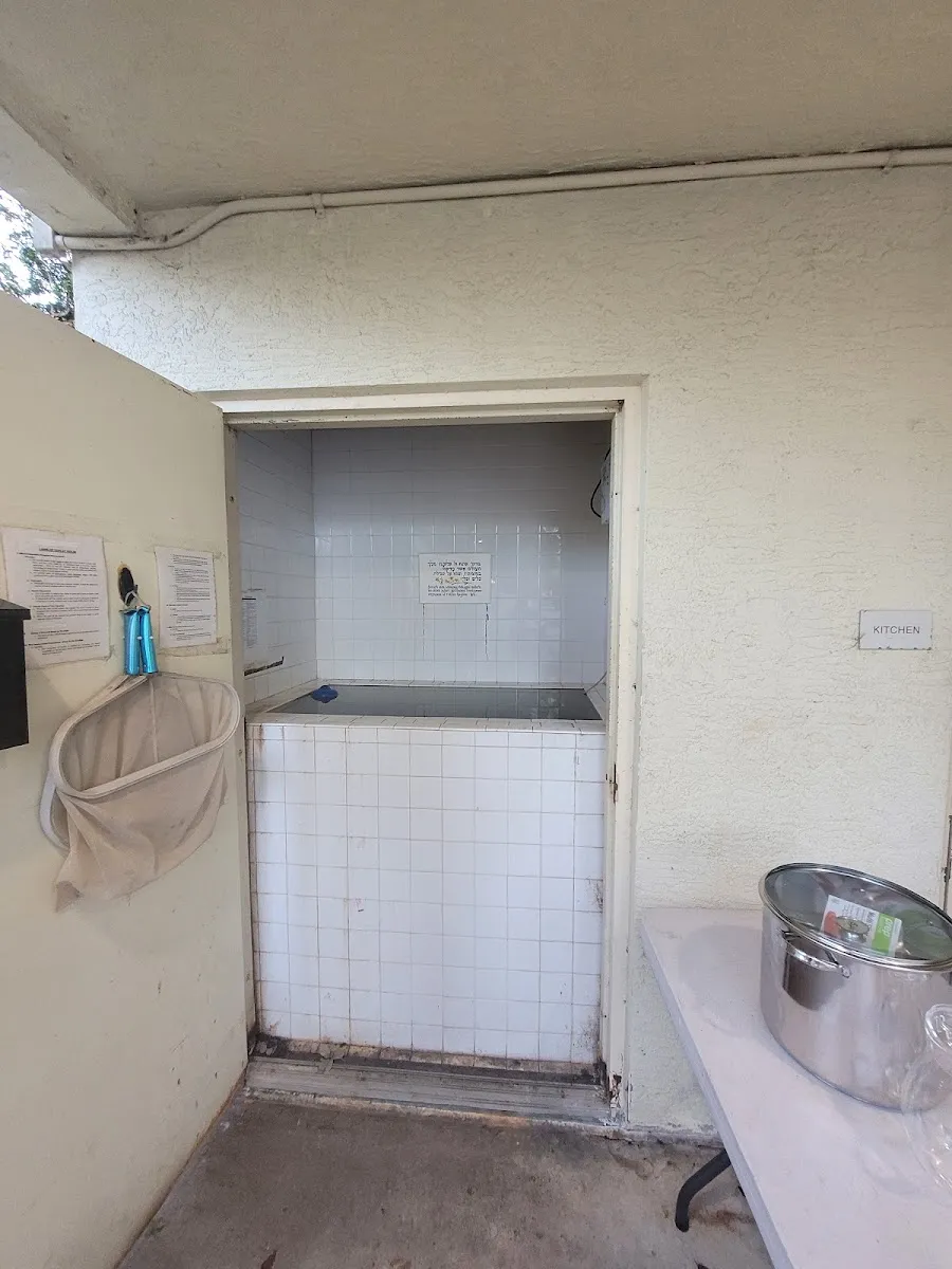 Young Israel of Deerfield Beach — foto 9