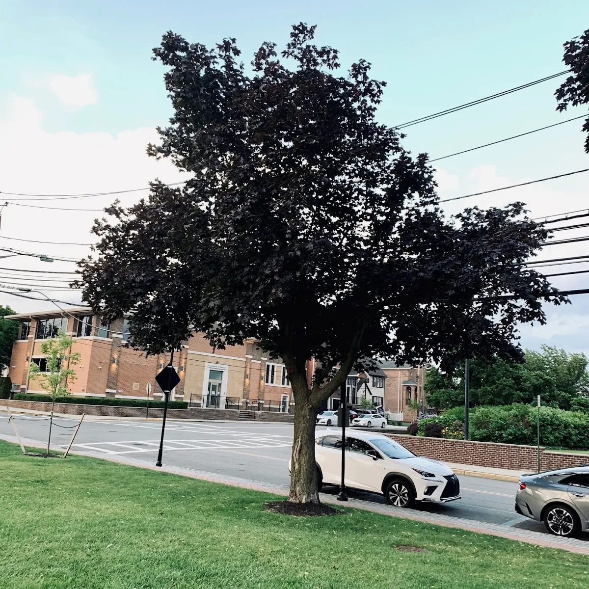 Young Israel of Fort Lee — foto 5