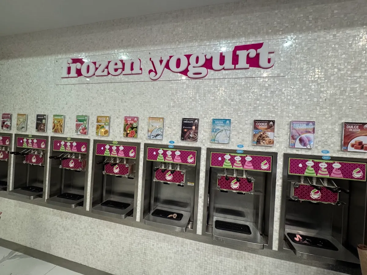 Yummy Frozen Yogurt Aventura — foto 2