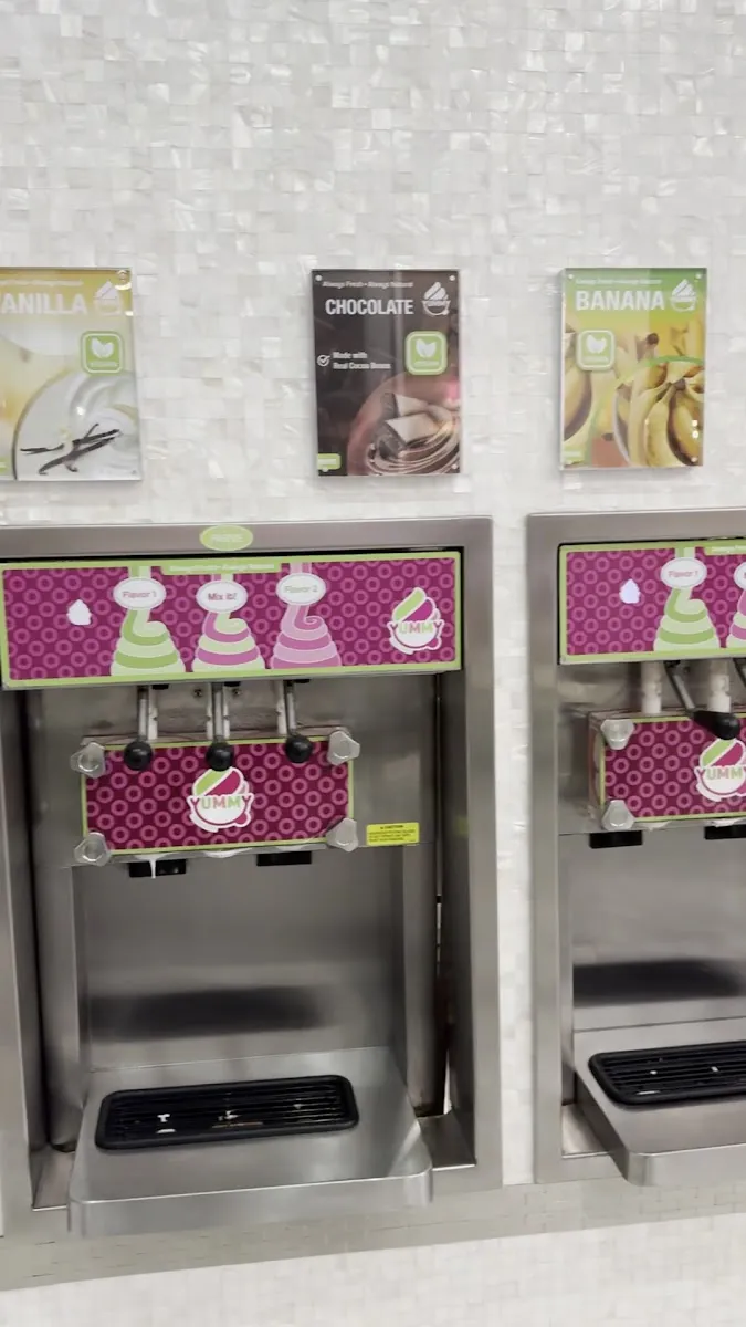 Yummy Frozen Yogurt Aventura — foto 5