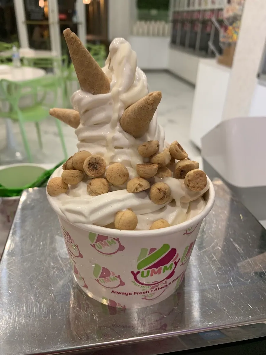 Yummy Frozen Yogurt Aventura — foto 6