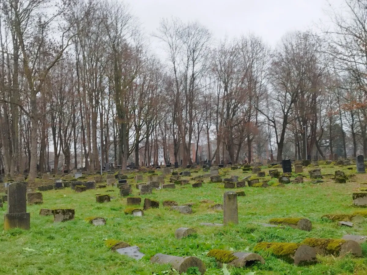 Žaliakalnio žydų senosios kapinės — photo 5