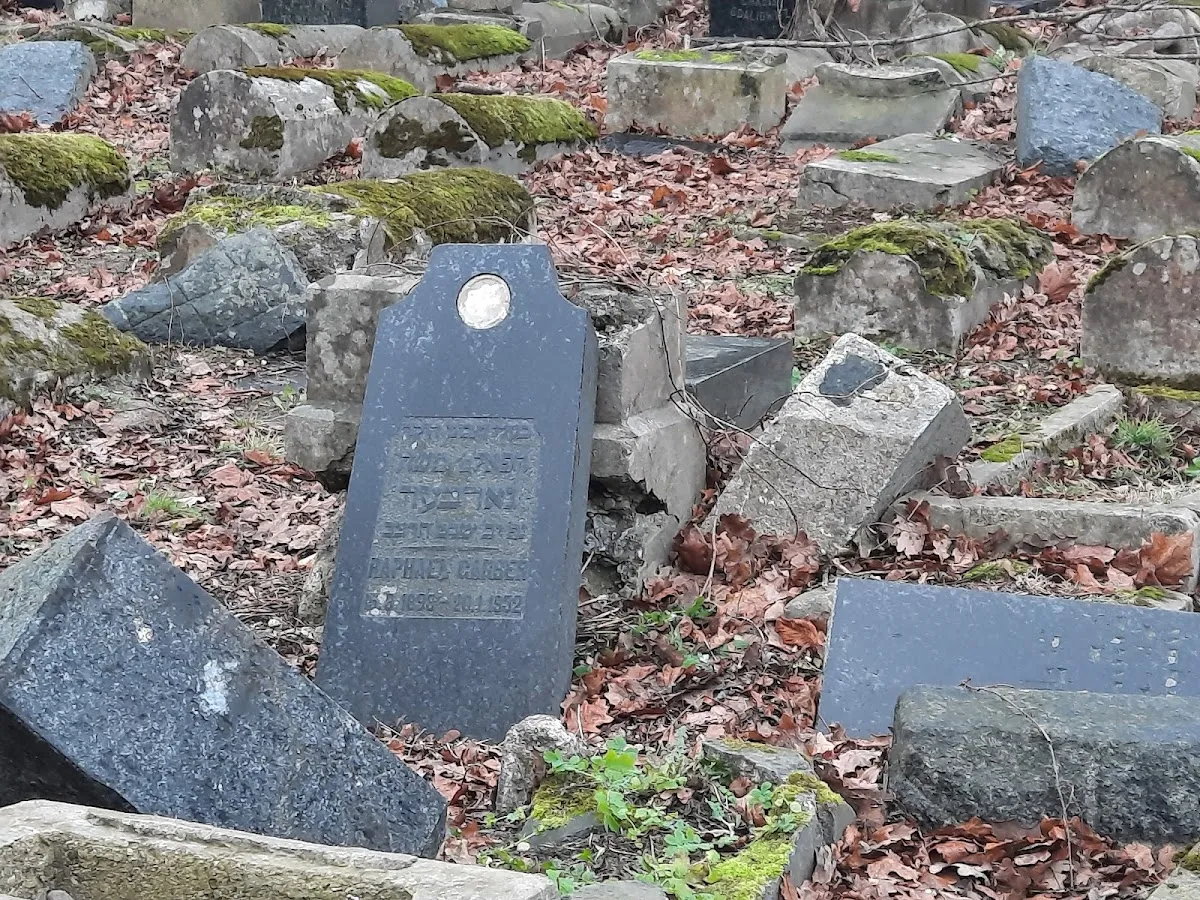 Žaliakalnio žydų senosios kapinės — photo 8