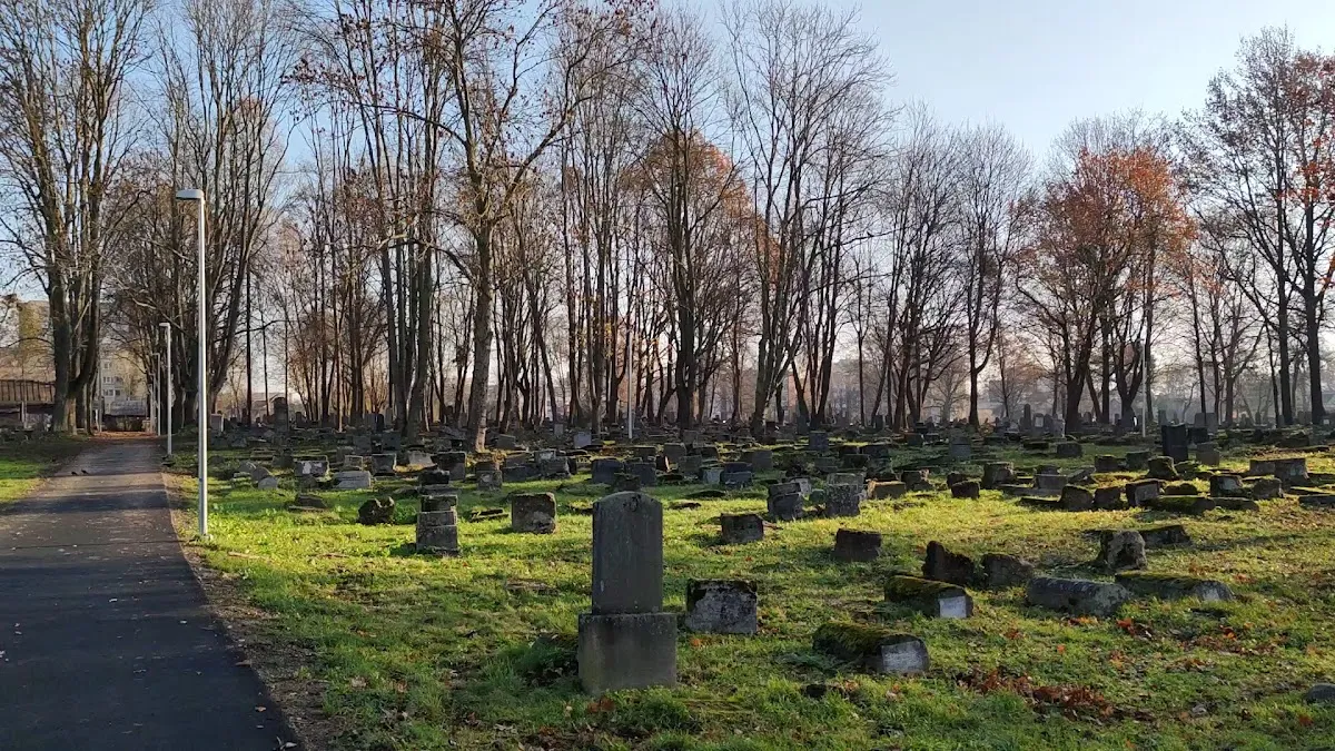 Žaliakalnio žydų senosios kapinės — photo 9