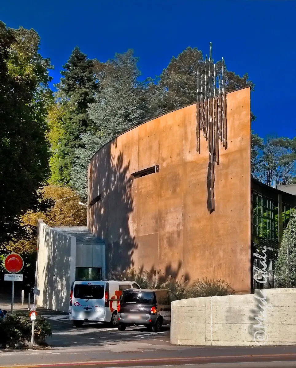 Zera Israel Foundation