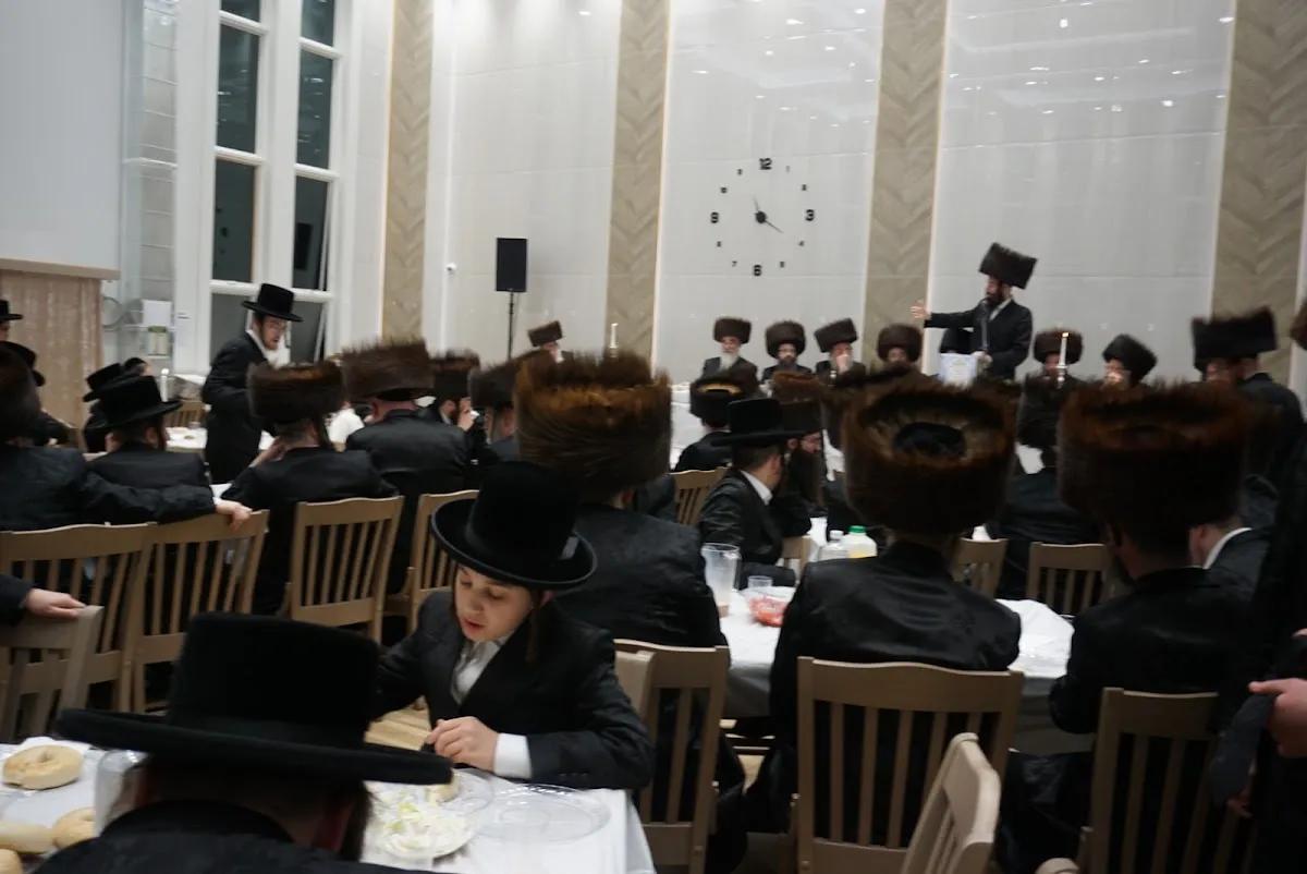 Zichron Arya Leibish Sanz — foto 5