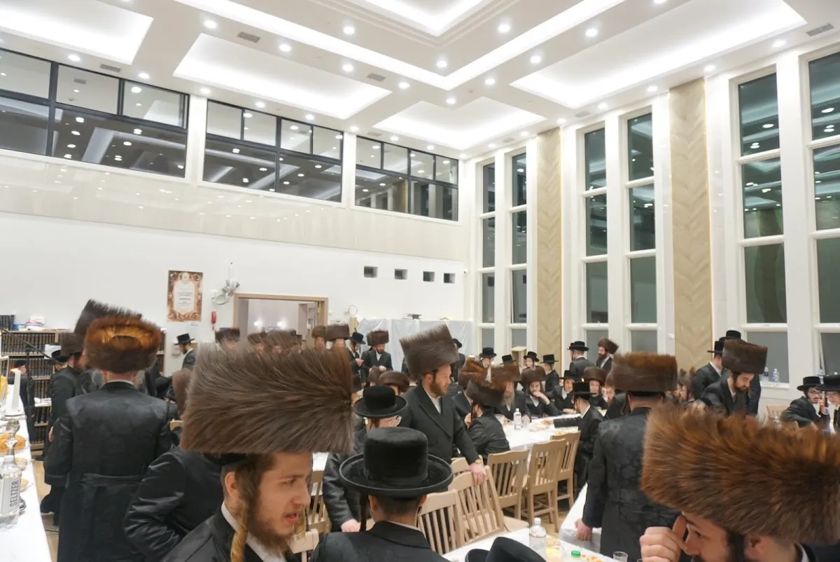 Zichron Arya Leibish Sanz — foto 6