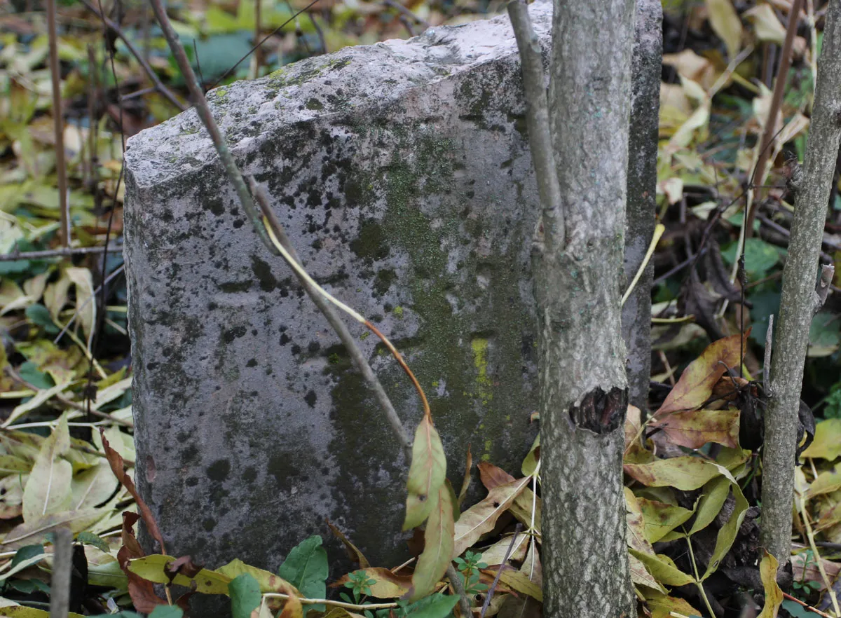 Židovský cintorín Janíkovce — foto 3