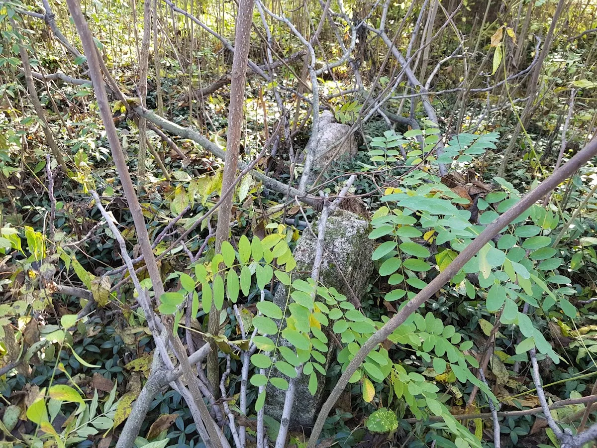 Židovský cintorín Janíkovce — foto 4