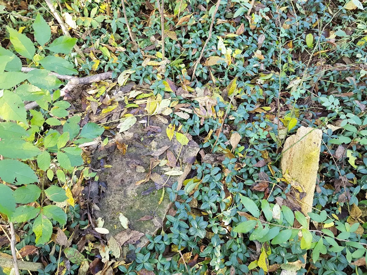 Židovský cintorín Janíkovce — foto 6