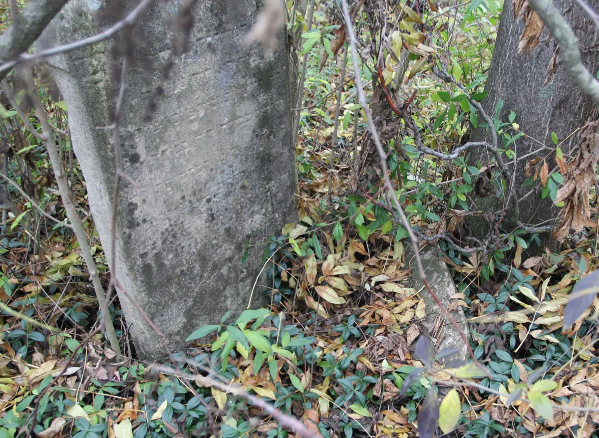 Židovský cintorín Janíkovce — foto 10