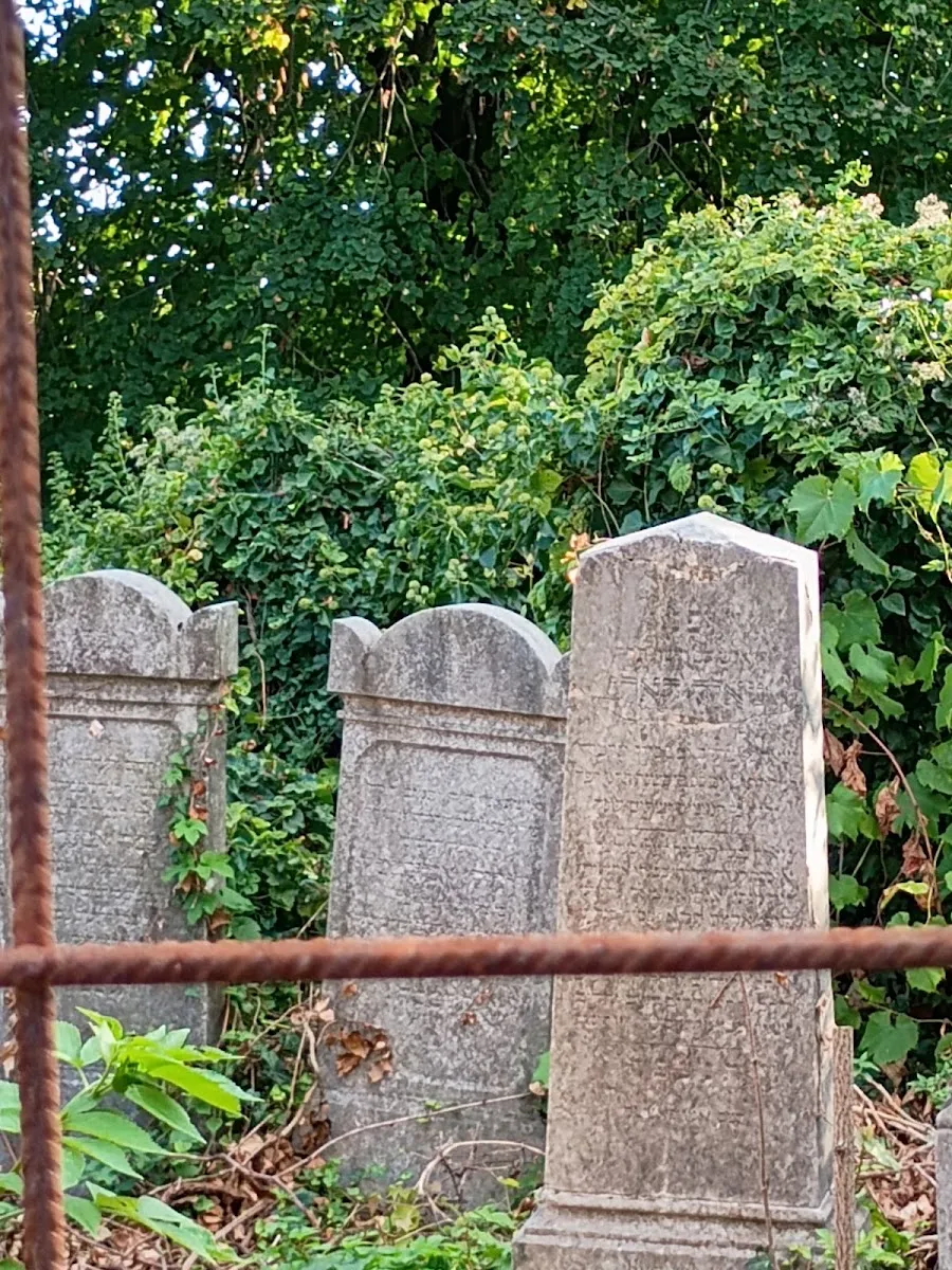 Židovský cintorín Kamenný mlyn (Trnava) — foto 4