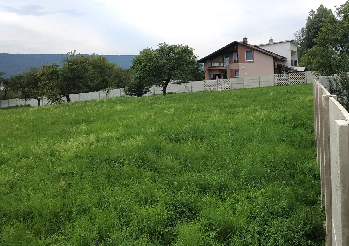Židovský cintorín Kurima — foto 4